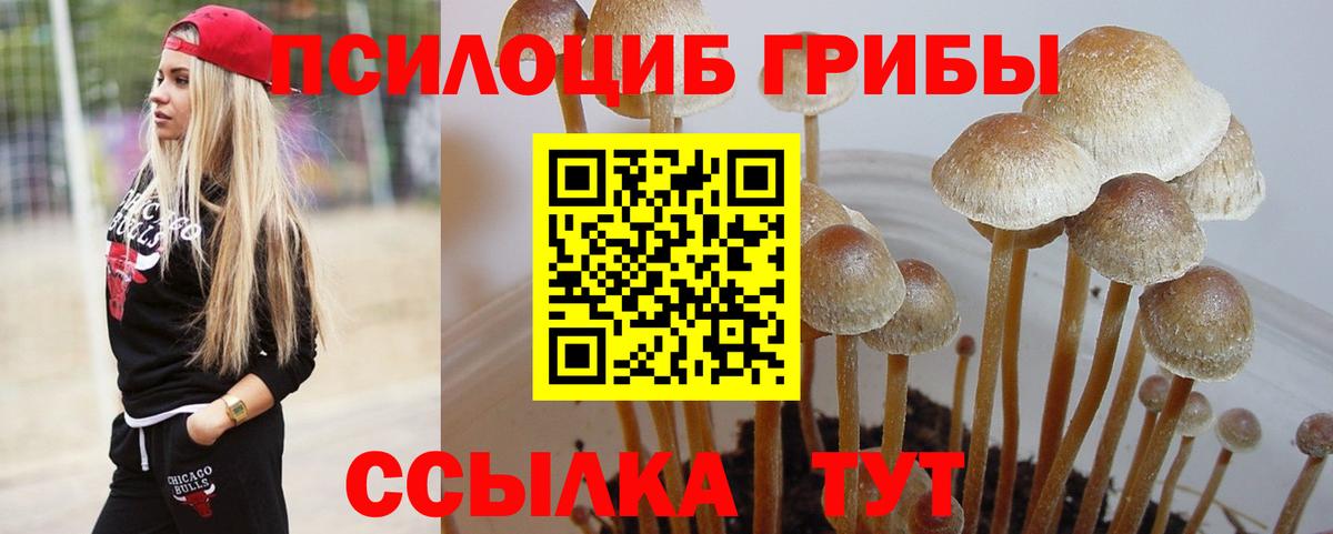 Псилоцибиновые грибы Magic Shrooms  Вход с VPN  Мелеуз 